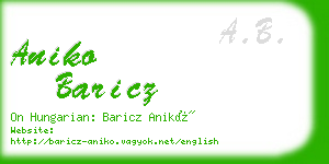 aniko baricz business card